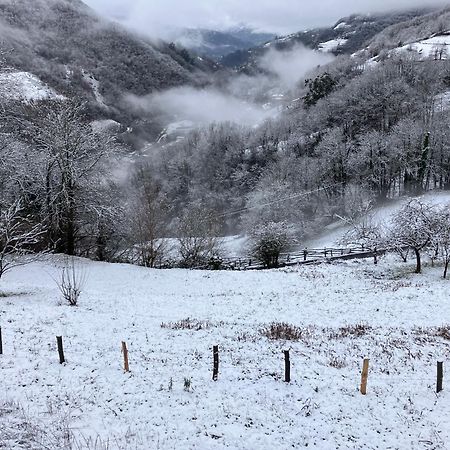 La So Casa -En El Corazon De Asturias Villa Armiello Екстериор снимка