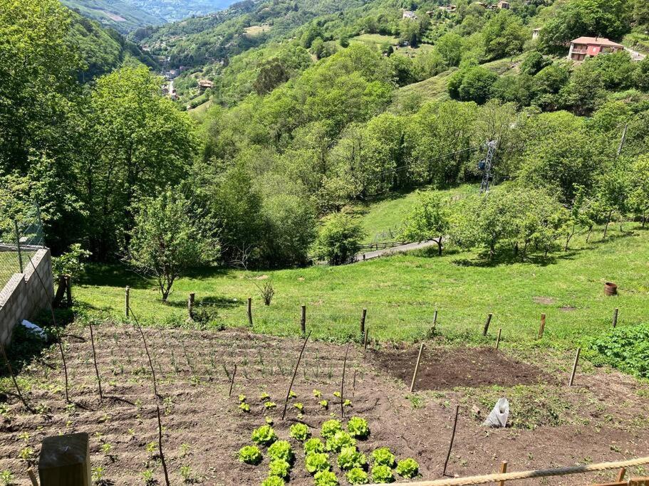 La So Casa -En El Corazon De Asturias Villa Armiello Екстериор снимка