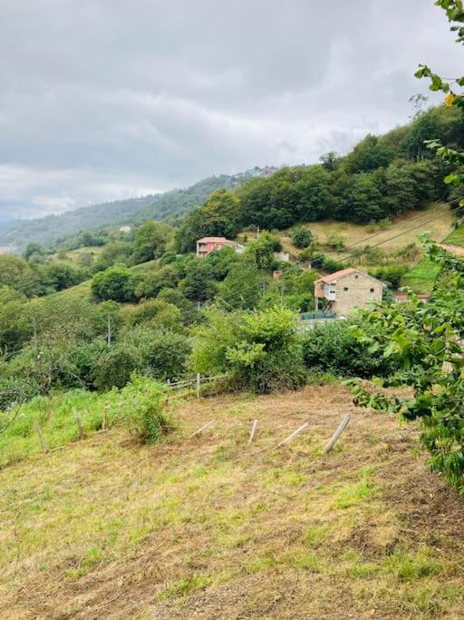 La So Casa -En El Corazon De Asturias Villa Armiello Екстериор снимка