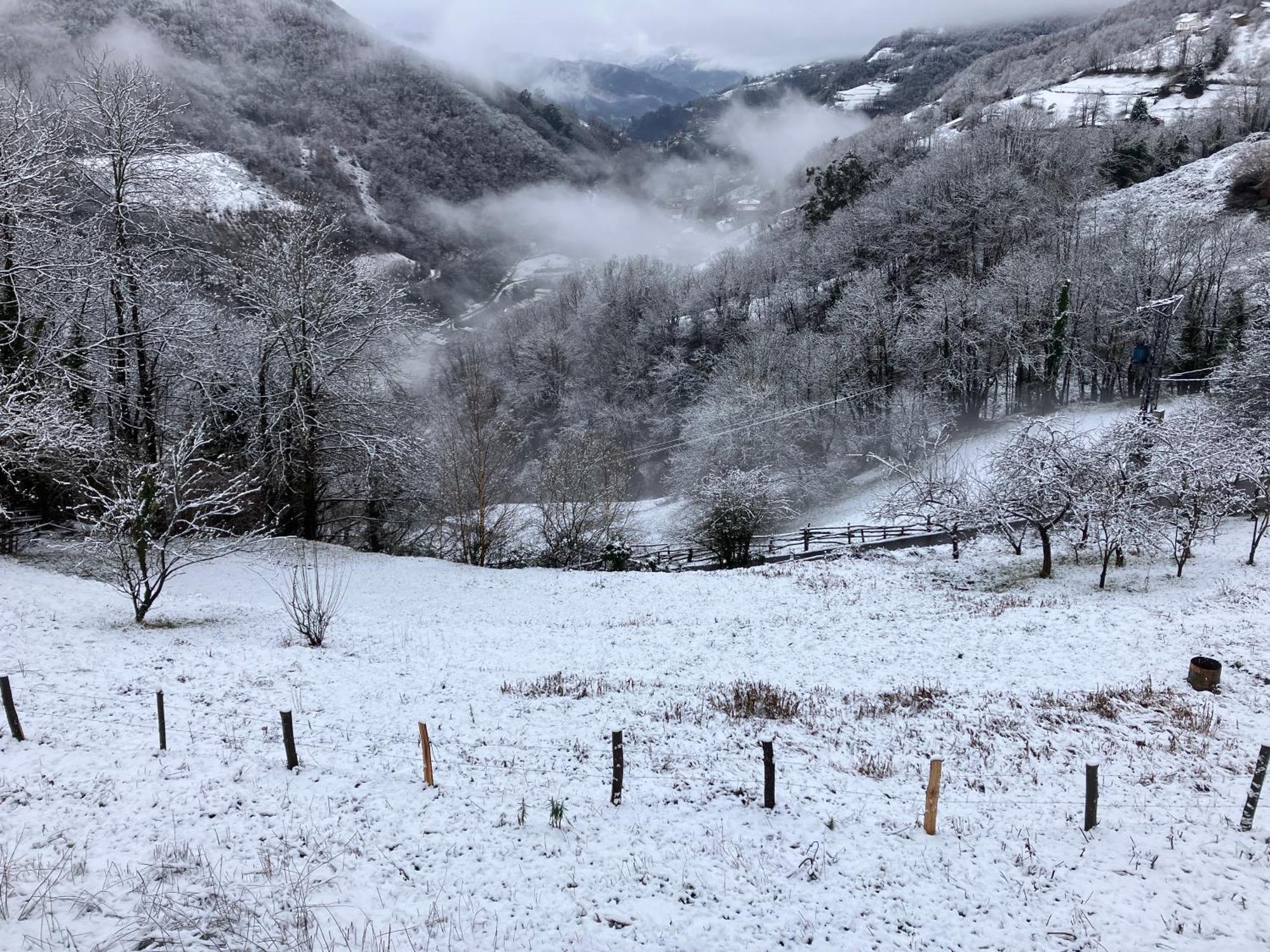 La So Casa -En El Corazon De Asturias Villa Armiello Екстериор снимка